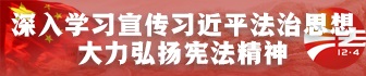 宪法宣传周