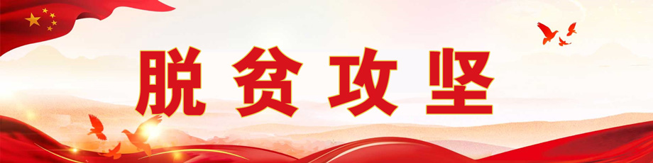脱贫攻坚